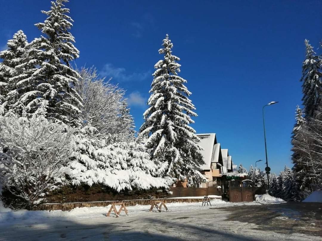 Pensiunea Colina Poiana Brašov Exteriér fotografie