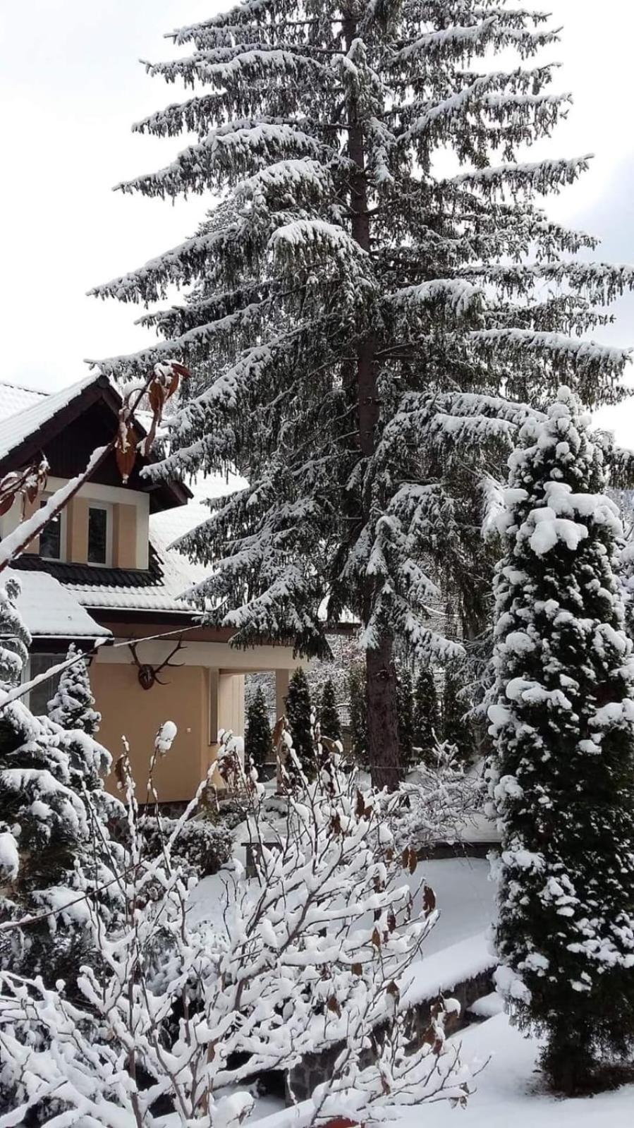 Pensiunea Colina Poiana Brašov Exteriér fotografie