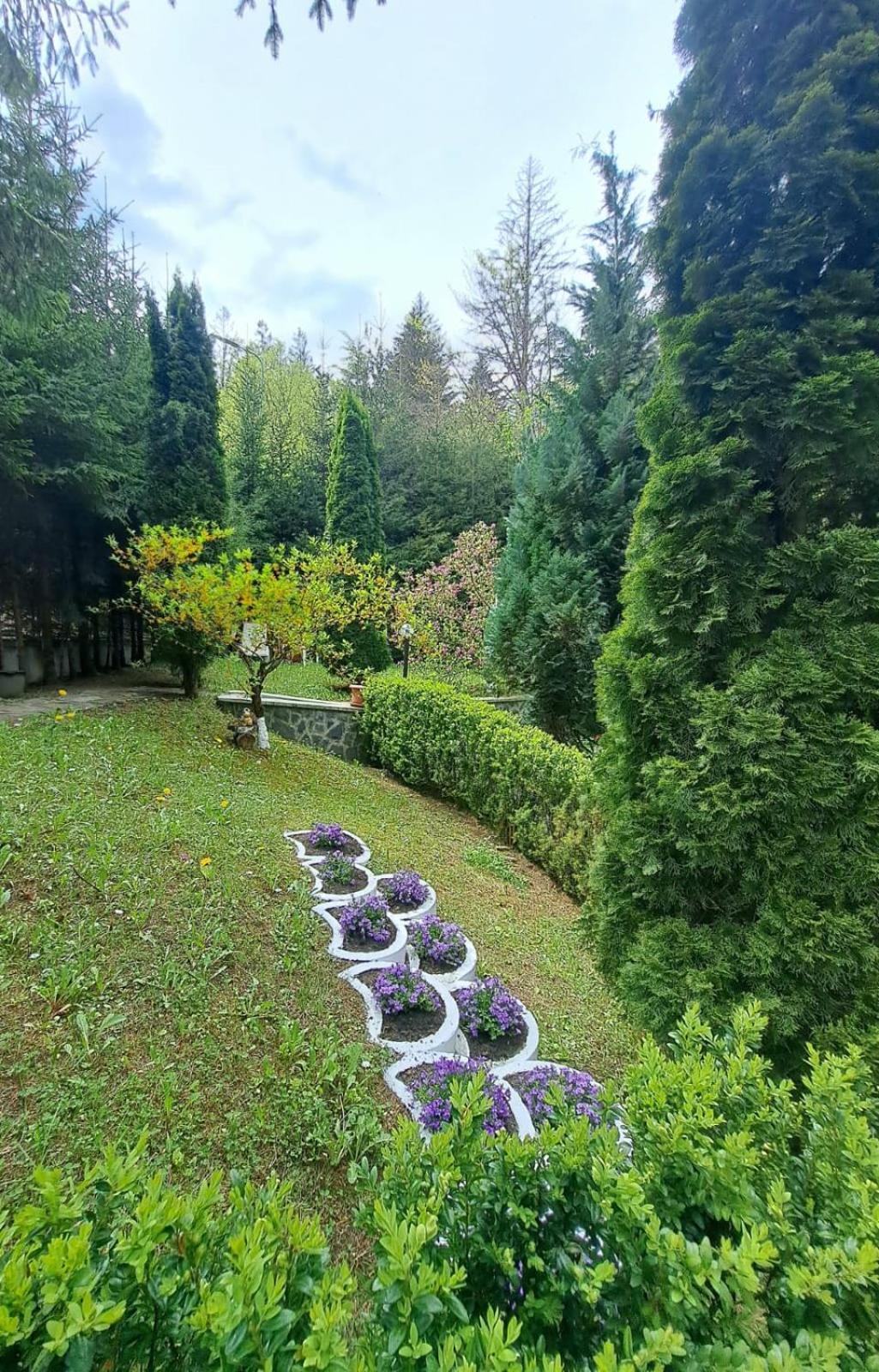 Pensiunea Colina Poiana Brašov Exteriér fotografie