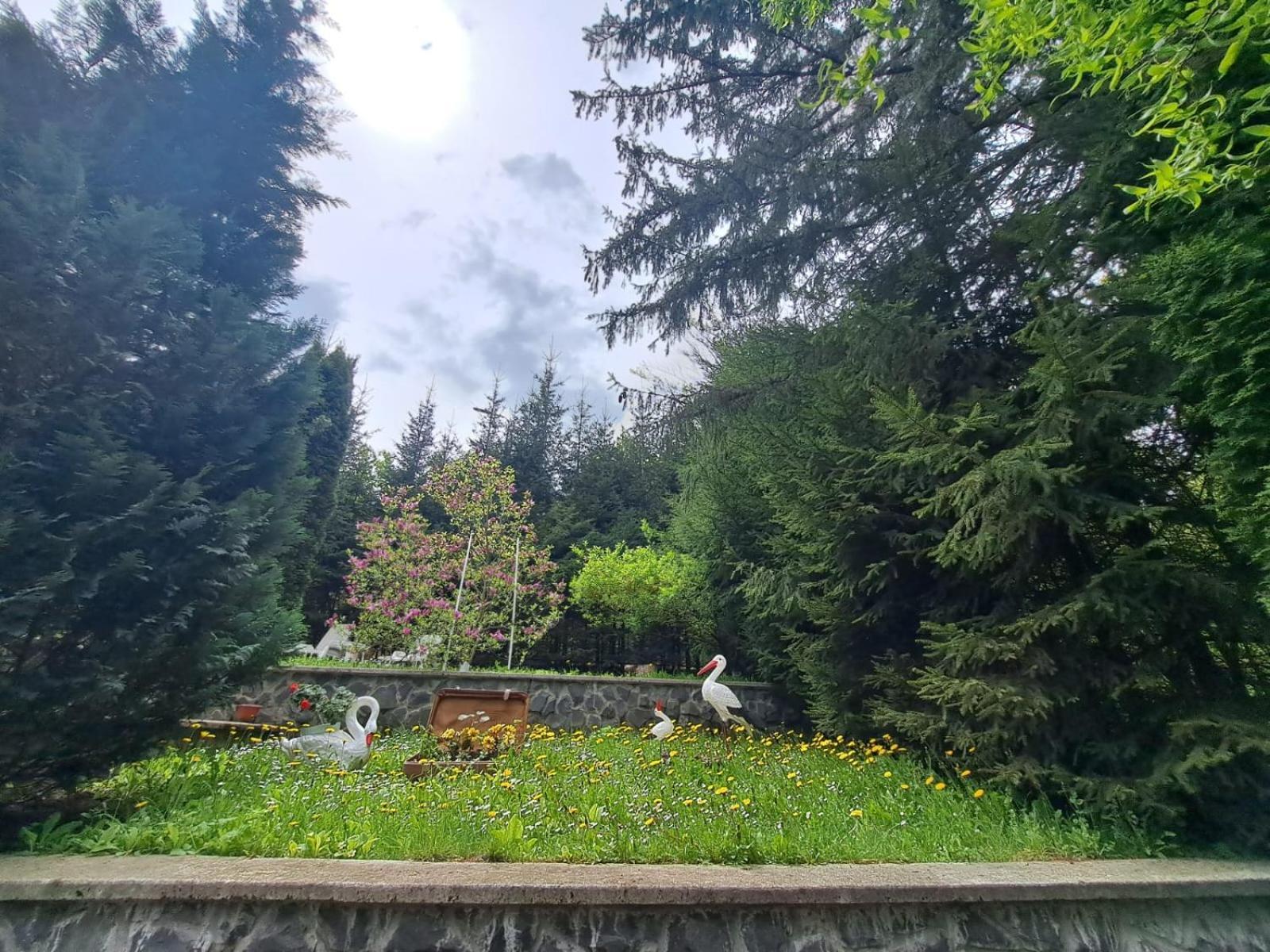 Pensiunea Colina Poiana Brašov Exteriér fotografie