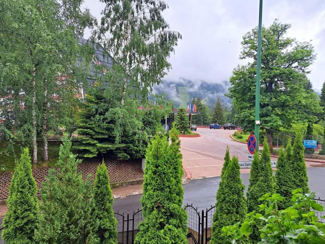 Pensiunea Colina Poiana Brašov Exteriér fotografie