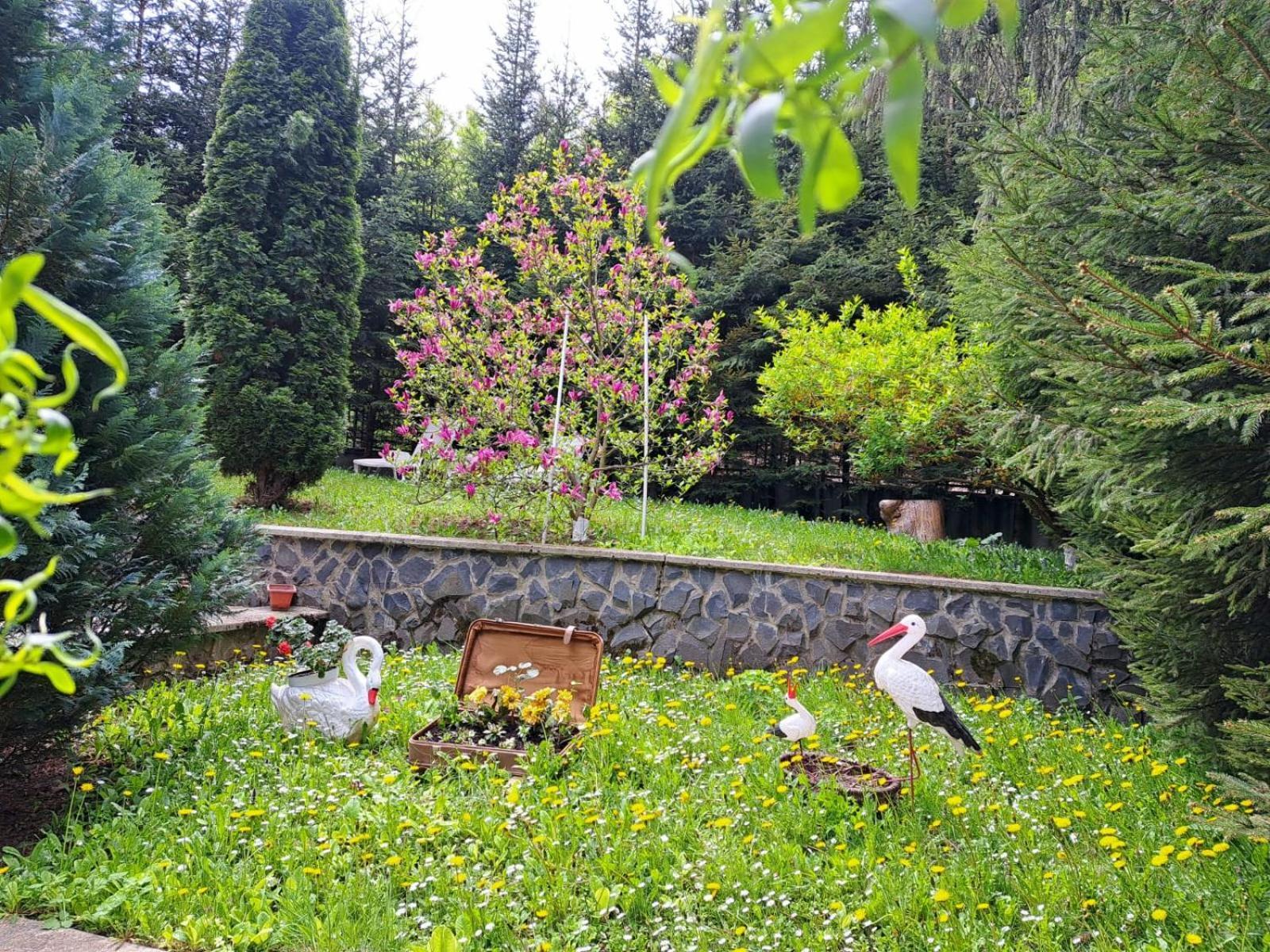 Pensiunea Colina Poiana Brašov Exteriér fotografie