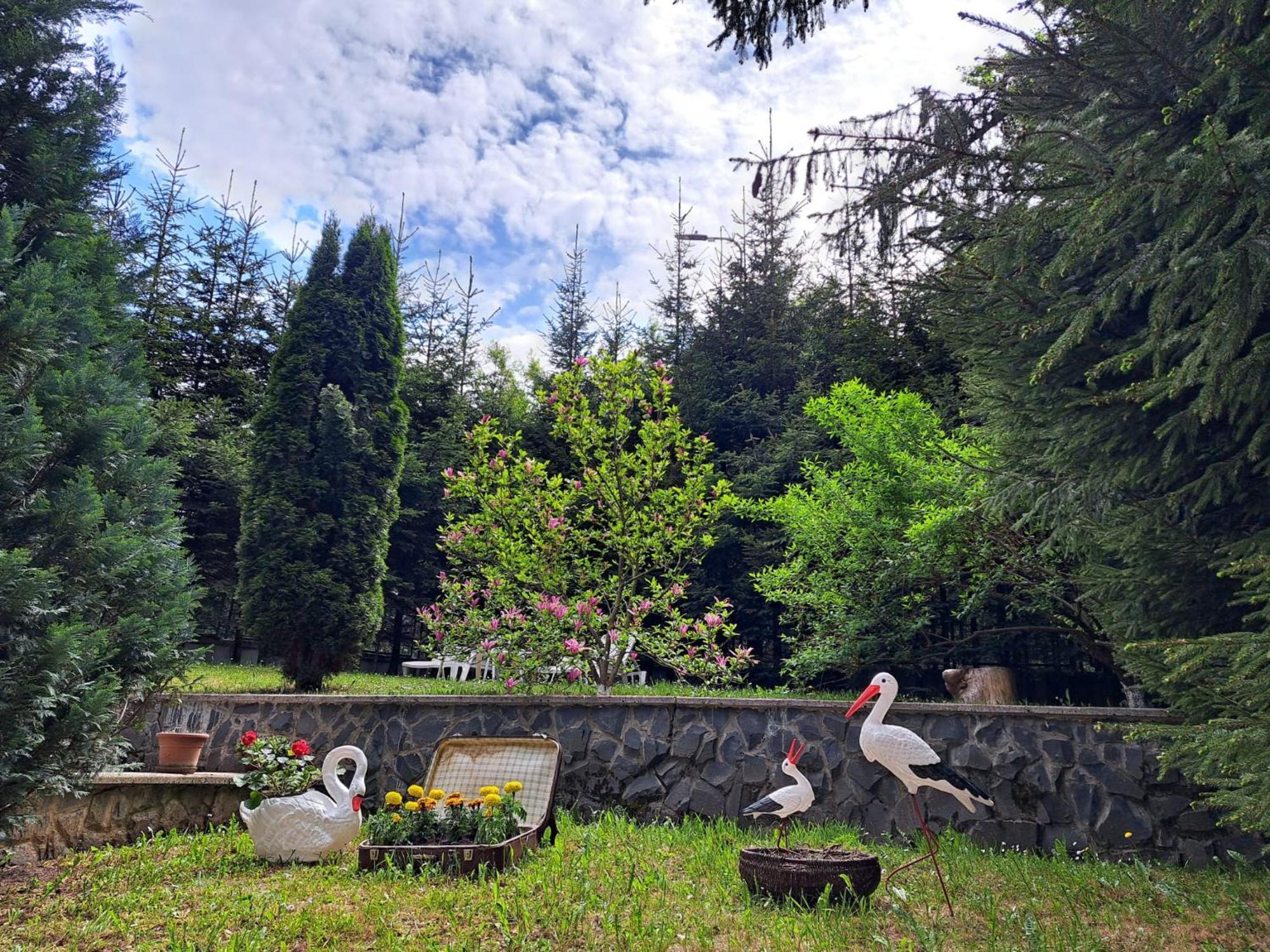 Pensiunea Colina Poiana Brašov Exteriér fotografie