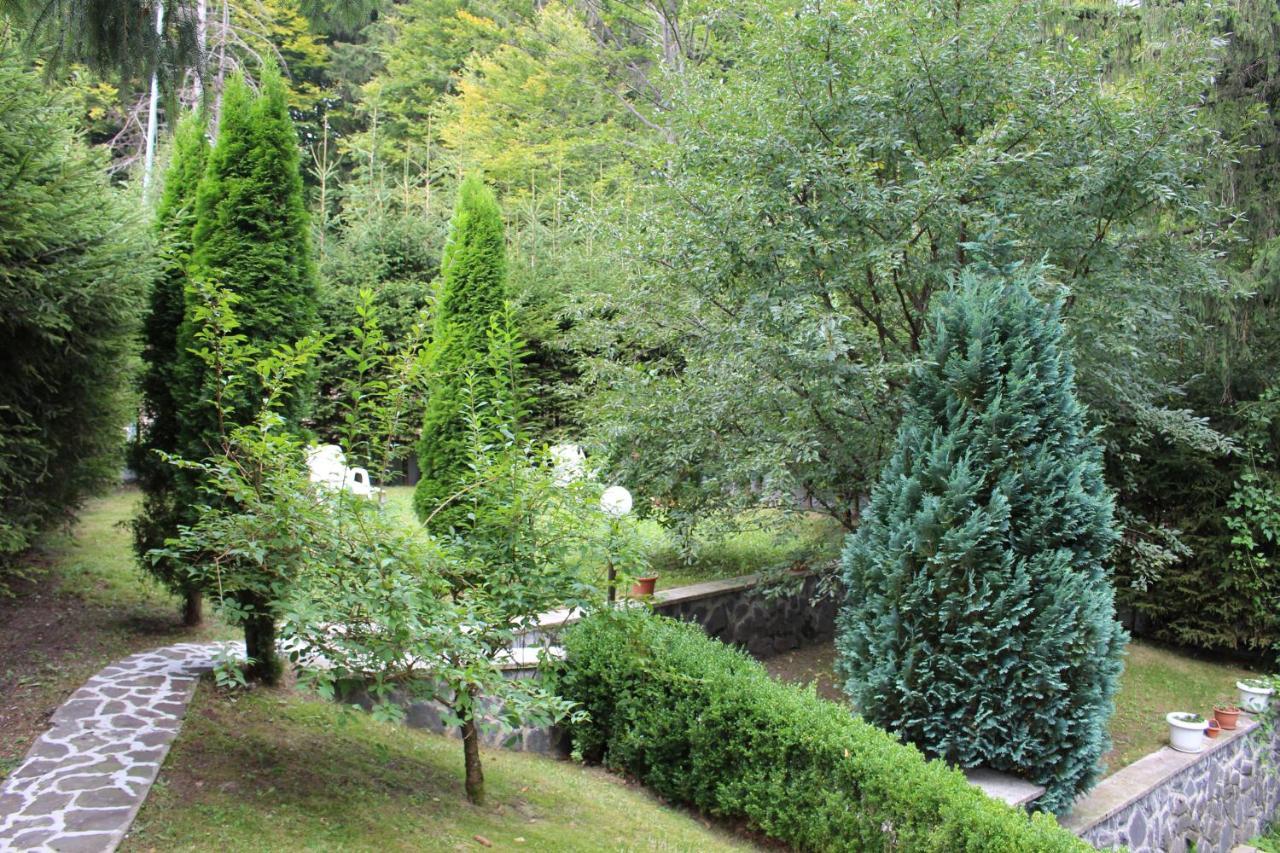 Pensiunea Colina Poiana Brašov Exteriér fotografie